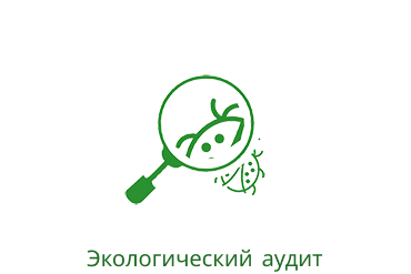 audit